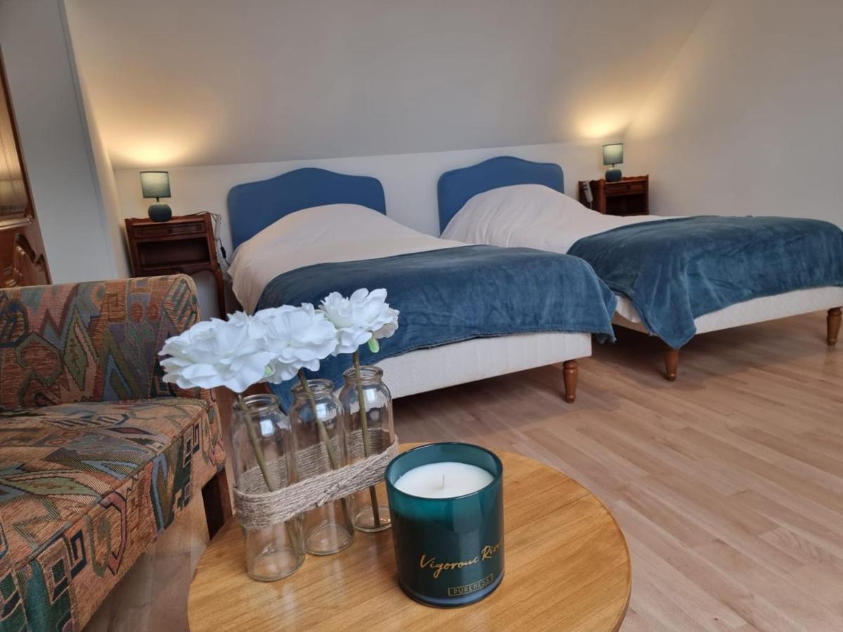 Le Vivien Apartment Romorantin-Lanthenay Ngoại thất bức ảnh